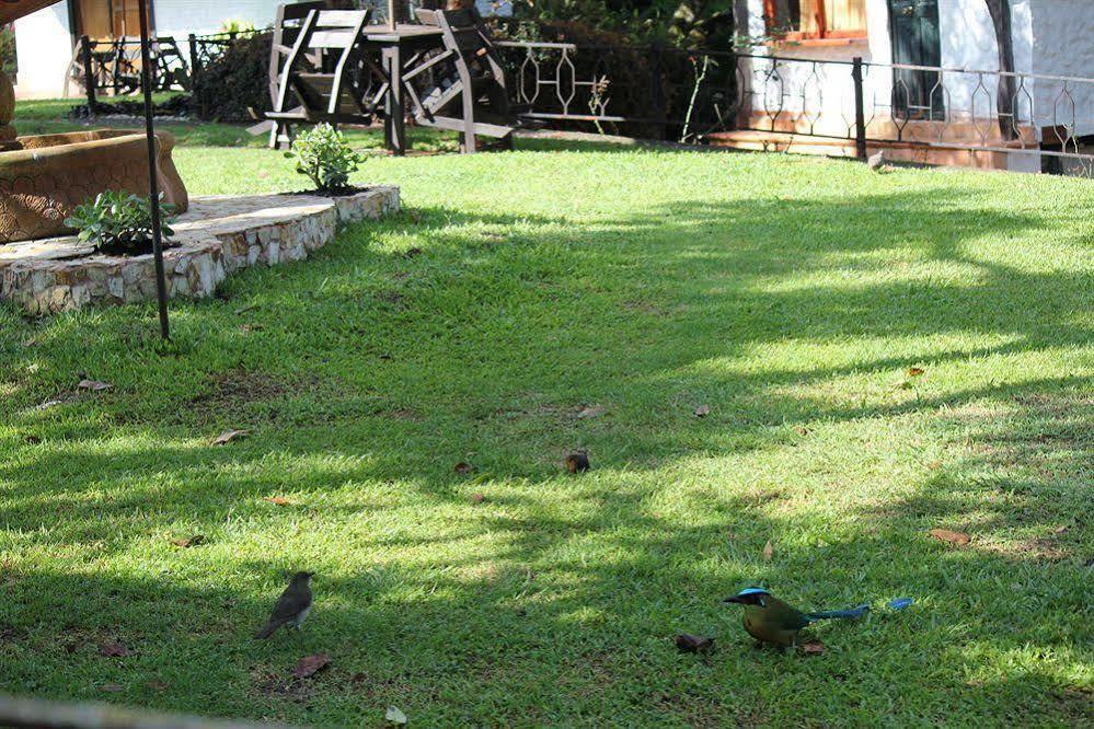 Ayenda Llanogrande Inn 3* Rionegro